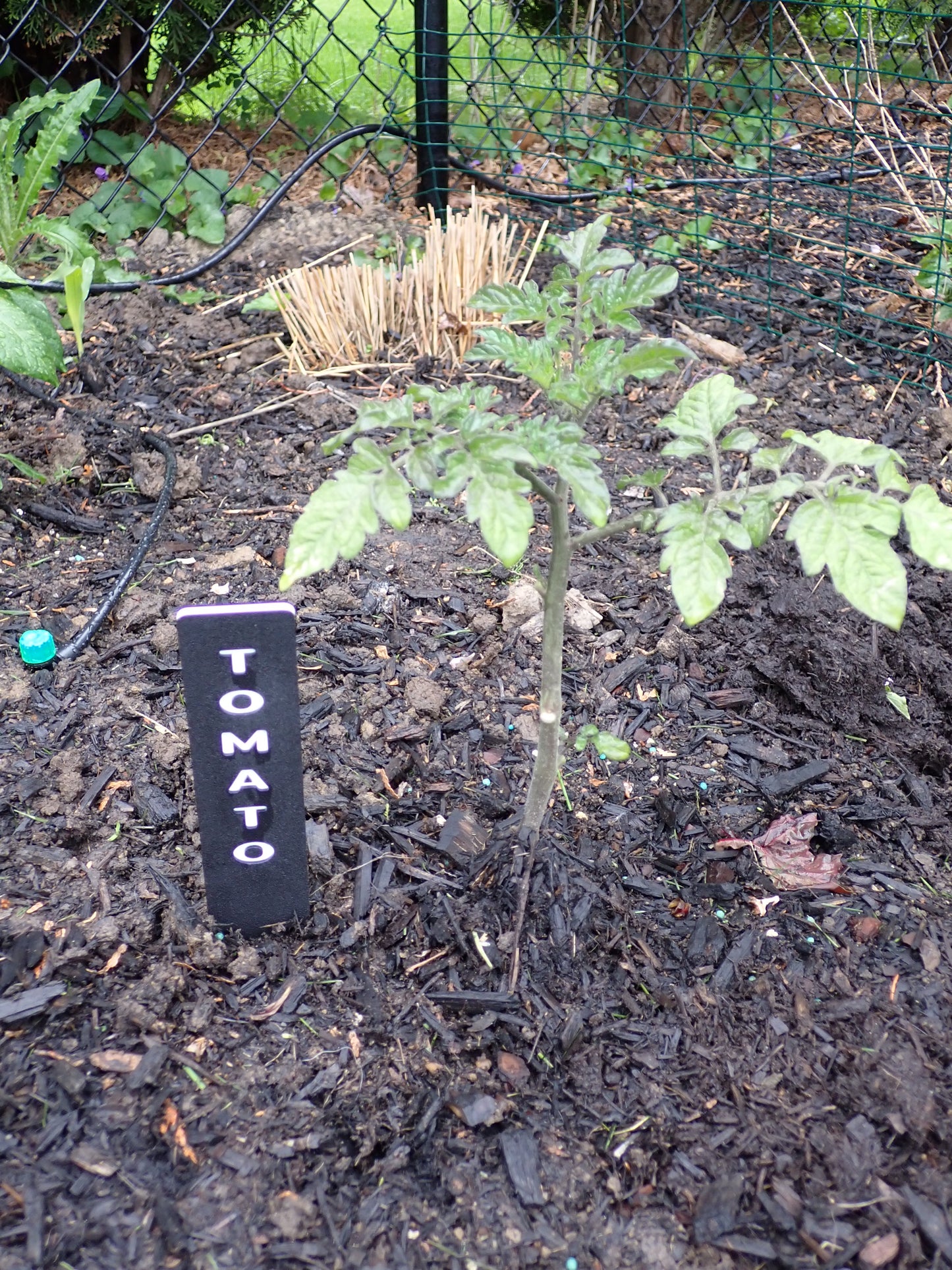 Custom HDPE Garden Marker Set – Personalized Weatherproof Plant Labels