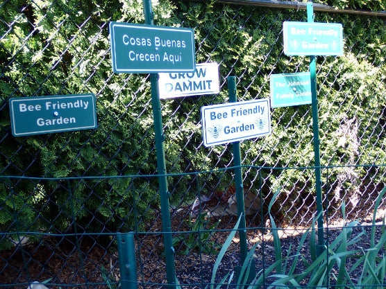 Poly Signs