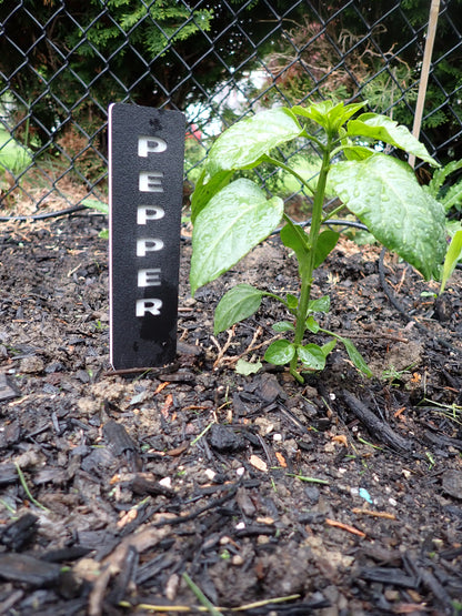 Modern HDPE Herb Garden Marker Set – Weatherproof Plant Labels (Set of 5)