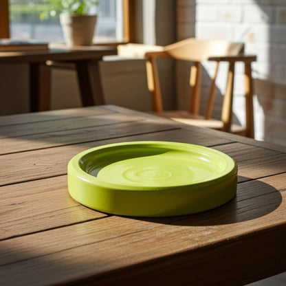 Maple Rainbow Coasters (set of 4)