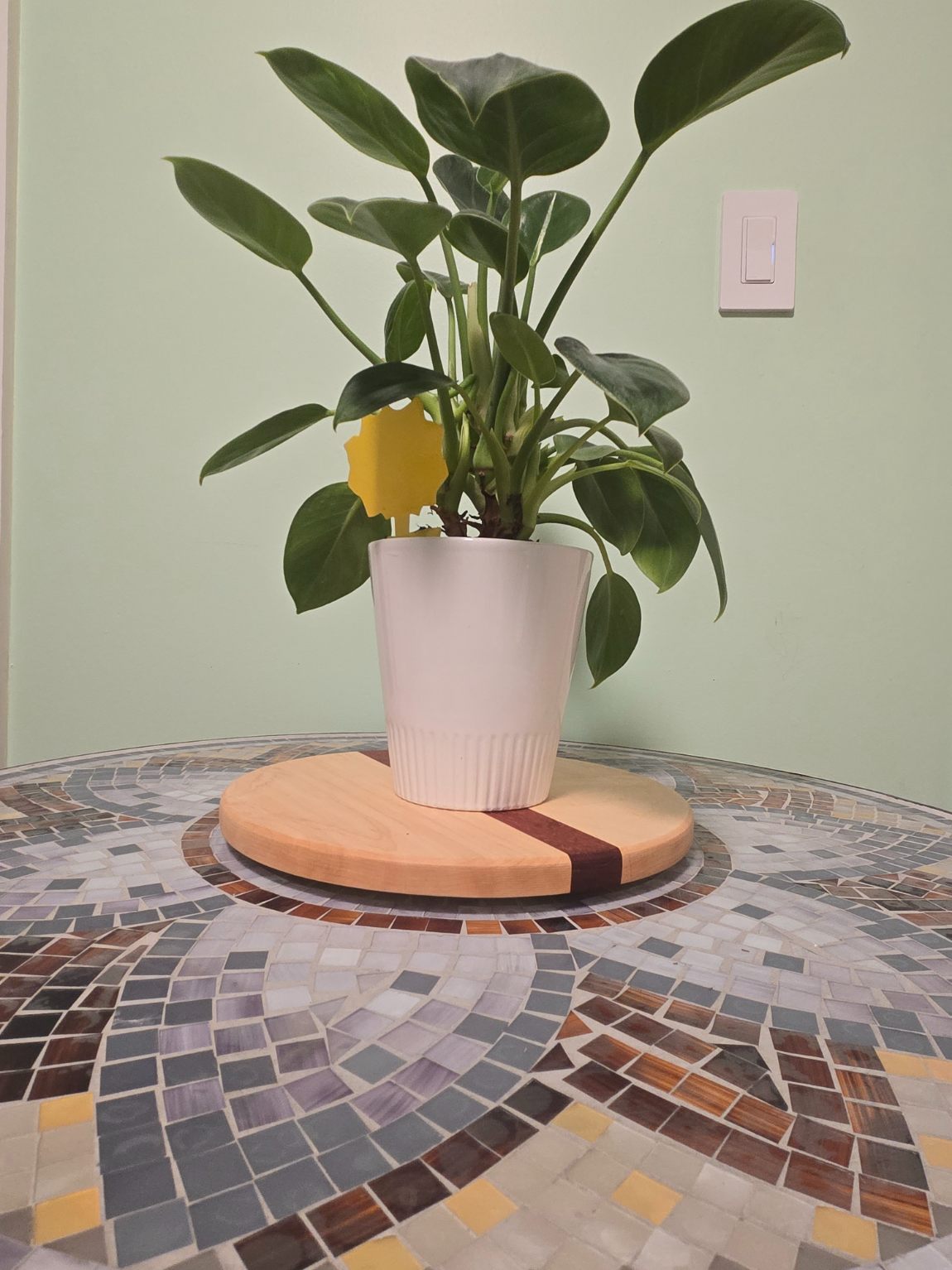 Maple Lazy Susan